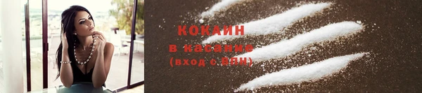 apvp Алзамай