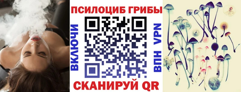 Галлюциногенные грибы прущие грибы  закладки  Переславль-Залесский 
