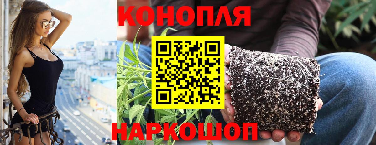 Канабис гибрид  Бошки Шишки гибрид  Переславль-Залесский  Вход с VPN 